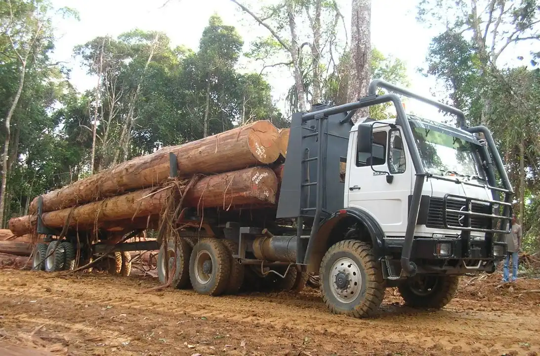 logging trailer indonesia